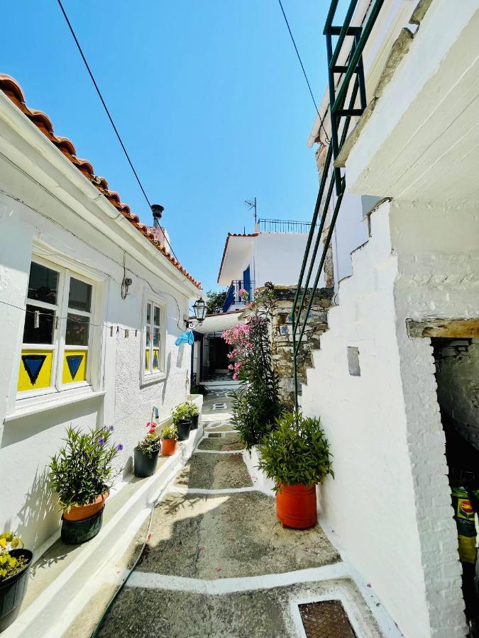 Άκρη Του Κόσμου Villa Ampelos  Eksteriør billede